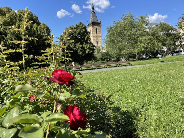 Novoměstská radnice, Karlovo náměstí, Praha | Small Charming Hotels