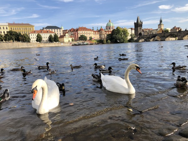 Accommodation in Prague | Small Charming Hotels